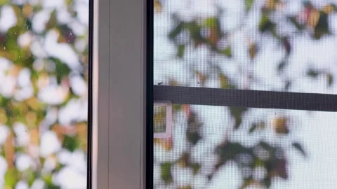 The man opens the window Stock Footage 247333743