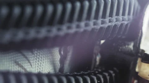 The man opens the zipper of the suitcase. Macro video of a lightning dog. Close Stock-Footage 220341690