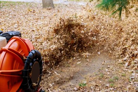 Man operating a heavy duty leaf blower: the leaves up and glow in the pleasan Stock Photos