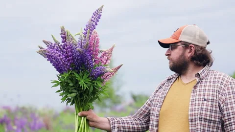 A man in an orange shirt in a field picking lupines 스톡 동영상 276879675
