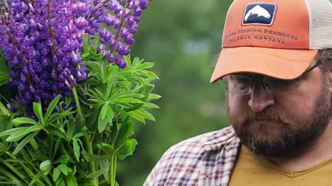 A man in an orange shirt in a field picking lupines 스톡 동영상 276879703