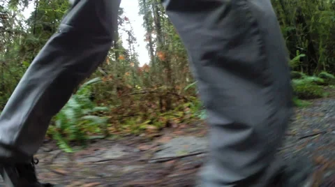 Man out hiking Stock Footage 35910566