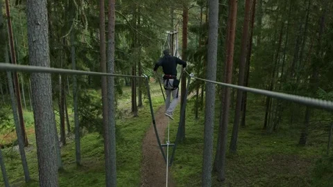 Man Overcomes Obstacle Course in Very Tall Trees Stock Footage 263040032