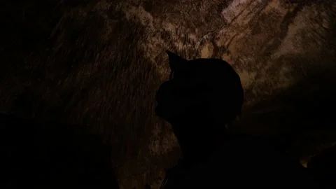 Man overlooking inside cave 4K 5 Stock Footage 139982179