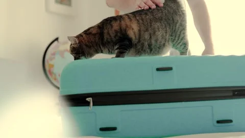 Man packing a suitcase for trip closeup. Travel concept slow motion. Stock Footage 301558551