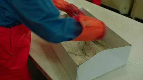 A man packs fish Video stock 120461150