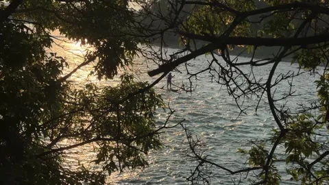 Man on paddle board floating down river rapids in summer evening 動画素材 345100035