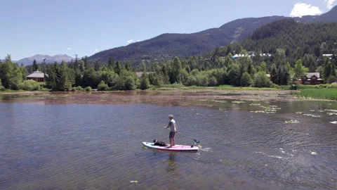 Man paddle boarding on a pristine mountain lake on sunny day with his dog, stand Stock Footage 247644578