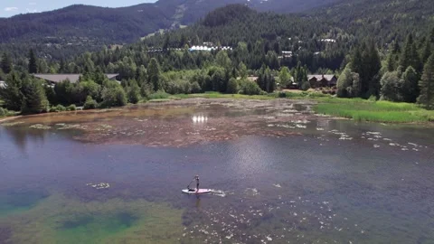 Man paddle boarding on a pristine mountain lake on sunny day with his dog, stand Stock Footage 250193321
