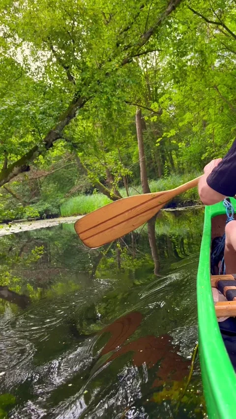 Man paddle in canoe in wilderness Stock Footage 314056403