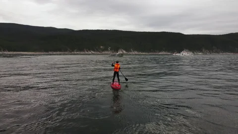 Man paddling on a stand up paddle board in the water. Stock Footage 229014994