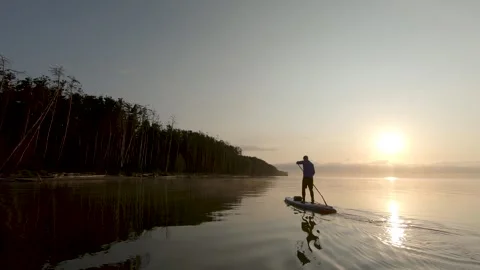 Man paddling on stand up paddle board at dawn. SUP boarding Stock Footage 243428339
