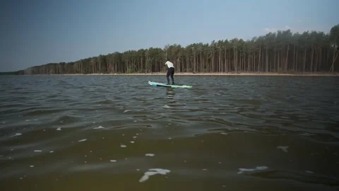 Man paddling on stand up paddle board against background of pine forest. SUP Stock Footage 244604127