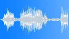 Man Pain Shout 03Sound Effect