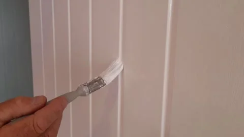Man paints door, close up view Stock-Footage 244925827