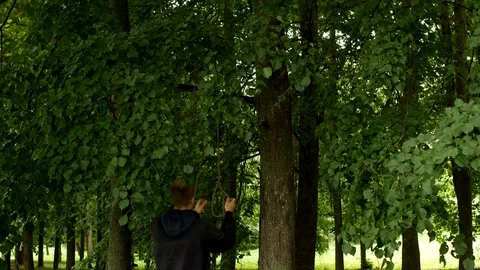 A man in a park dresses a loop with a rope on his head, commits suicide hanging Stock Footage 95389840