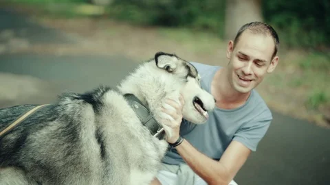 A man in park stroking a dog Stock Footage 94523025