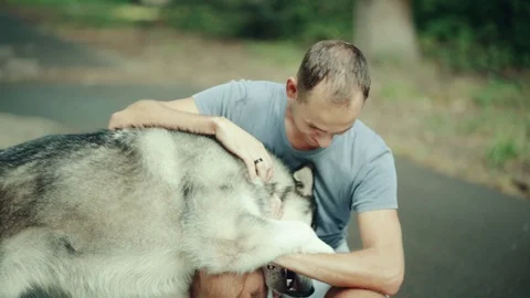 A man in park stroking a dog Stock Footage 94523086