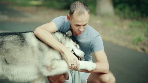 A man in park stroking a dog Stock Footage 94523146