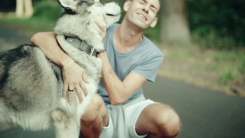 A man in park stroking a dog Stock Footage 94523188