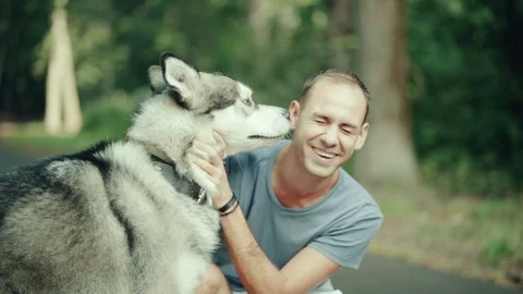 A man in park stroking a dog Stock Footage 94523222