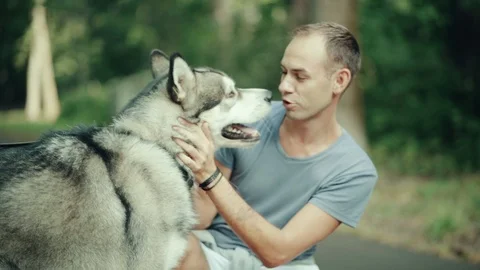 A man in park stroking a dog Stock Footage 94523267