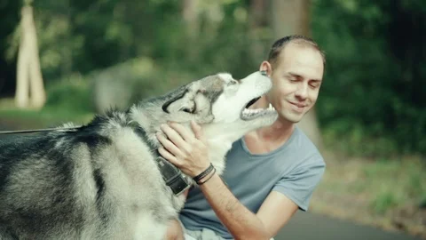 A man in park stroking a dog Stock Footage 94523312