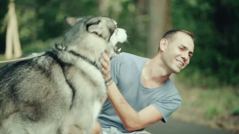 A man in park stroking a dog Stock Footage 94523358