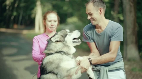 A man in park stroking a dog Stock Footage 94523457