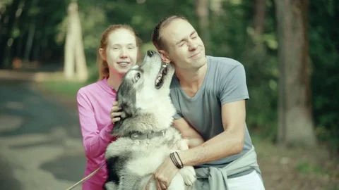 A man in park stroking a dog Stock Footage 94523516