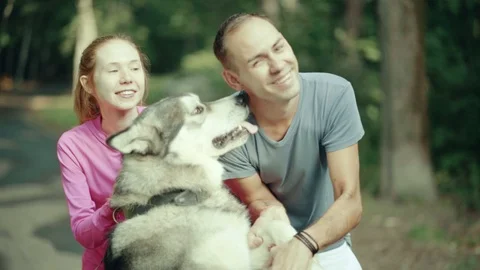 A man in park stroking a dog Stock Footage 94523585