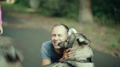A man in park stroking a dog Stock Footage 94523740