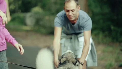 A man in park stroking a dog Stock Footage 94523815
