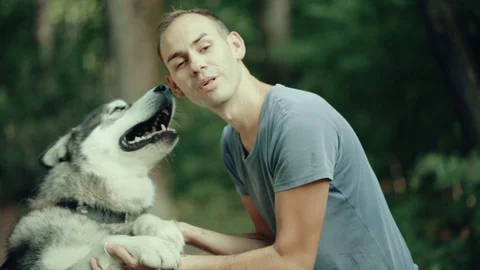 A man in park stroking a dog Stock Footage 94524167