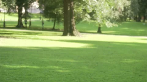 A man in a park using a laptop Stock Footage 11288258
