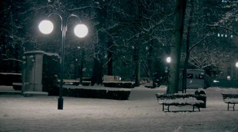 Man in a park (winter) Stock Footage 2916695