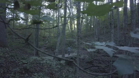 Man passes by, crosses bridge in endless forest 스톡 동영상 238693721