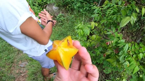 Man passes starfruit to hand of another person 스톡 동영상 154894496
