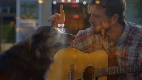 Man pausing guitar strumming after dog nudging, petting dog for bonding, warm Video stock 330288316