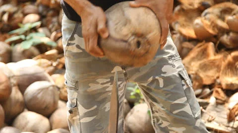 A man peeling coconut Stock Footage 25822608