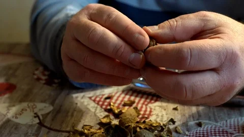 Man peeling walnuts separating kernel from nutshell. Healthy dry fruits Video stock 125089206
