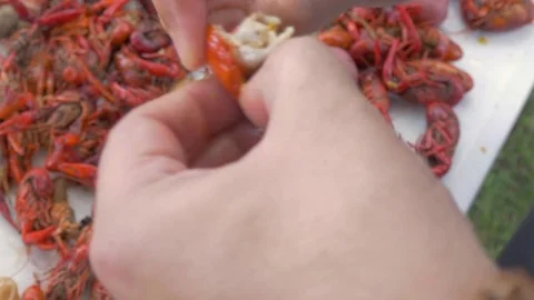 Man Peels and Eats Crawfish ay Lowcountry Boil Stock Footage 74986763