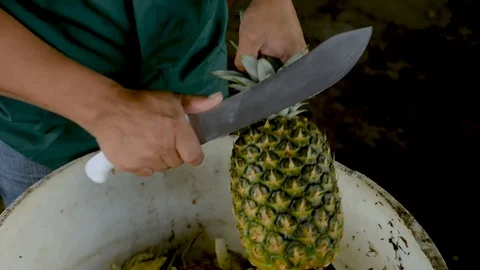A man peels a pineapple in the processing plant Stock Footage 123557011