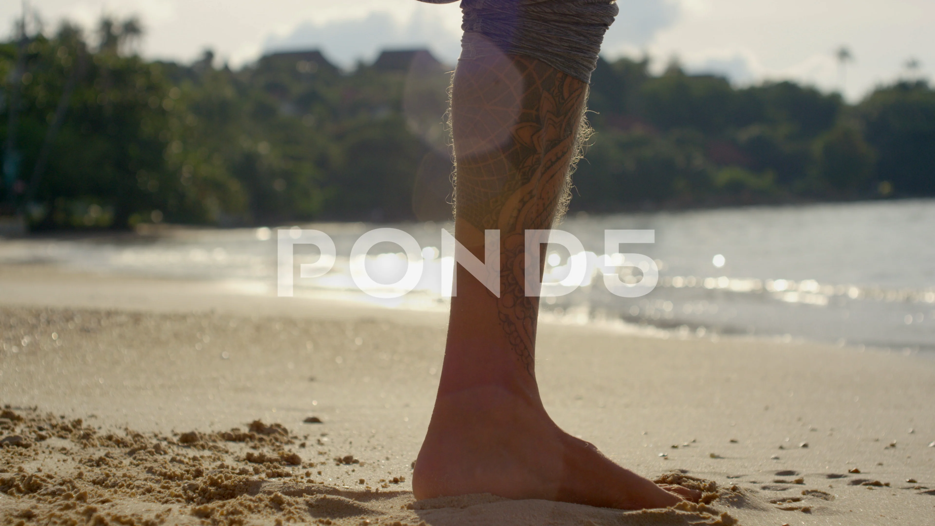 HD wallpaper: man on sand beach under palm tree, male, coast, shore, leaf,  leaves | Wallpaper Flare