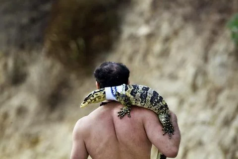 Man with Pet Lizard Stock Photos