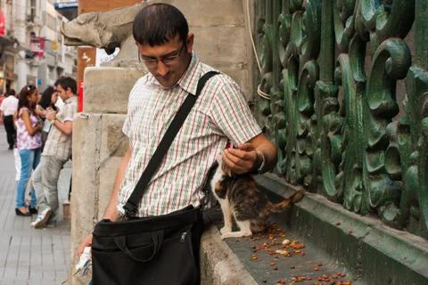 Man pets a cat Stock Photos