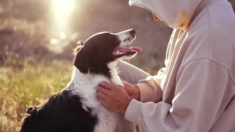 A man pets his dog Stock Footage 276868693