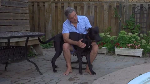 A man pets his dog while sitting on a chair in the backyard during the summer Stock Footage 326069438