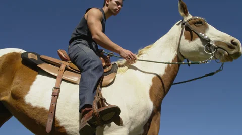 Man Pets Horse's Neck Stock Footage 35307981