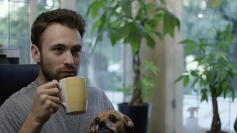 Man petting a dog while drinking coffee in café Stock Footage 107951415